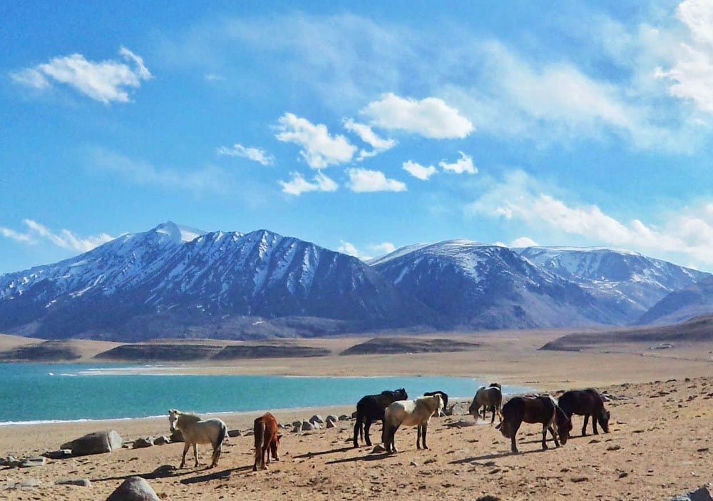 Explore Ladakh